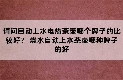 请问自动上水电热茶壶哪个牌子的比较好？ 烧水自动上水茶壶哪种牌子的好